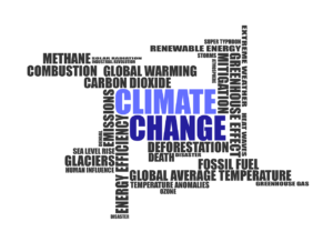 Causes of climate change