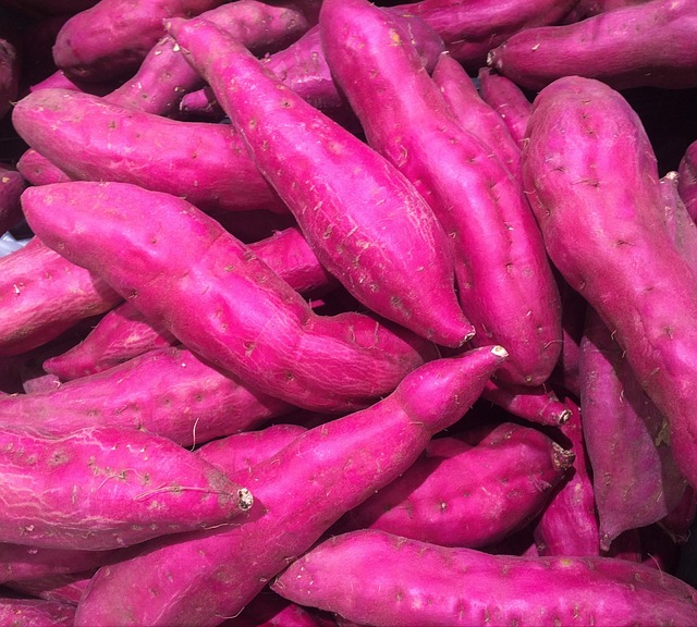 Purple Sweet Potato