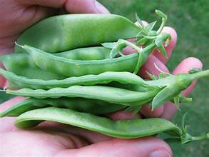 Snow peas